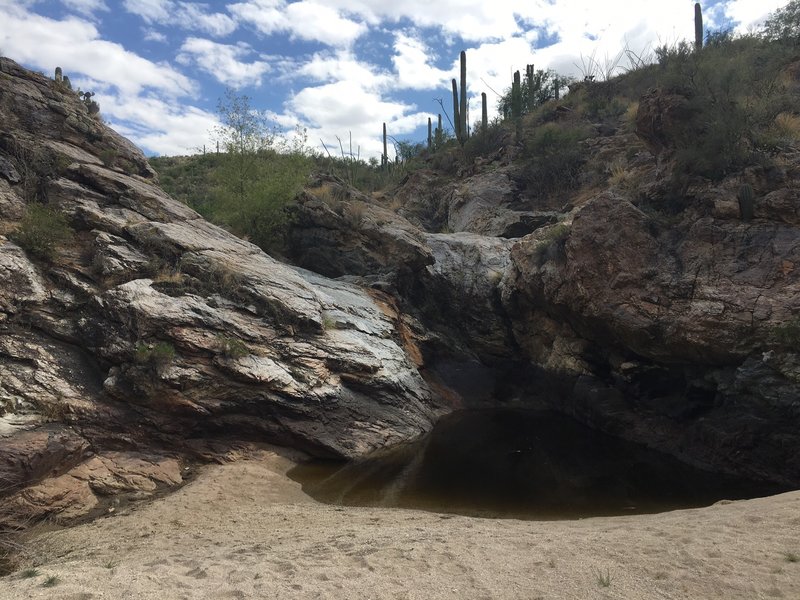 The end of Wildhorse Trail. During summer monsoons and the winter rains the water is definitely flowing.