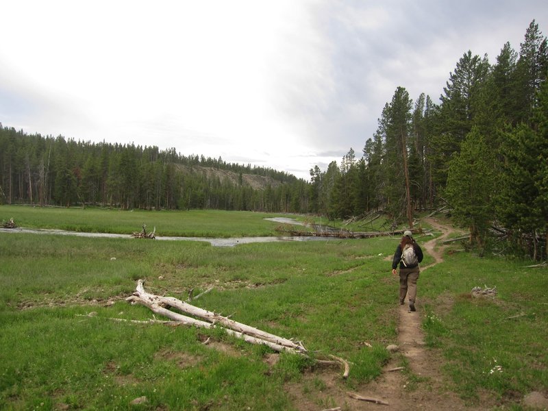 Hiking west along Nez Perce Creek.