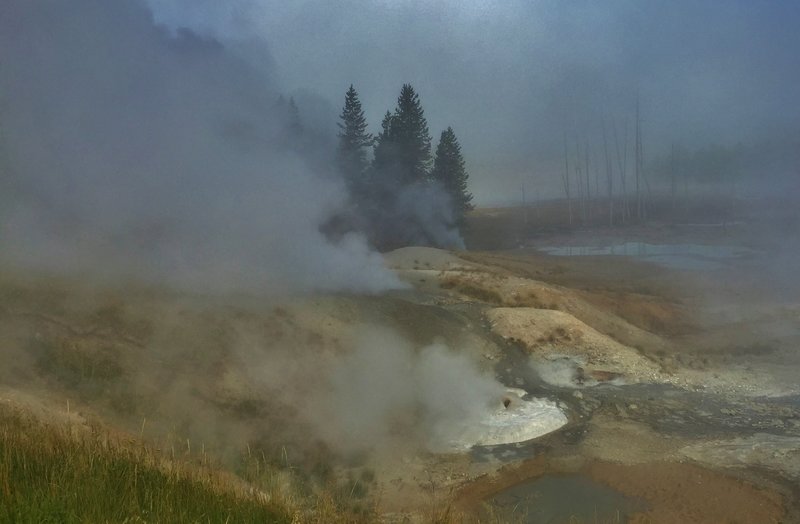 Ledge Geyser cone in the Porcelain Basin.