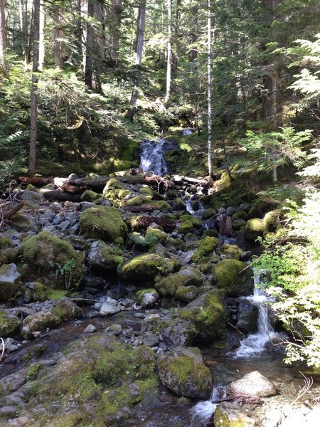 One of the crossings along the trail.