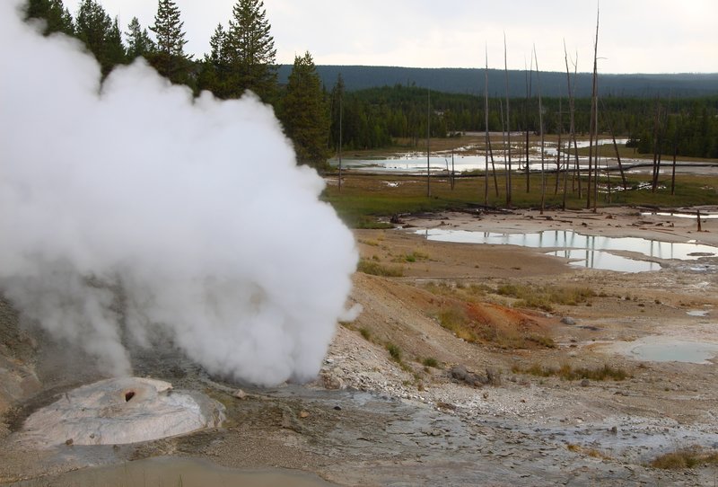 Steaming fumaroles, Norris Geyser Basin