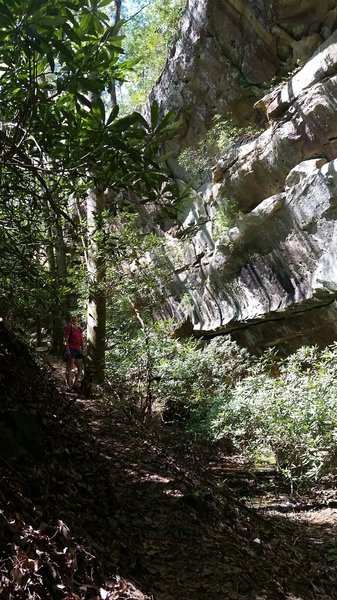 Middle Creek has so many amazing rock shelters. You can go right inside. Incredible! #REIEMPLOYEE