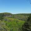 From the top of the arches! Finally a view. I felt like I was looking for this the entire weekend of camping. The Cumberland Plateau is a beautiful place. #REIEMPLOYEE