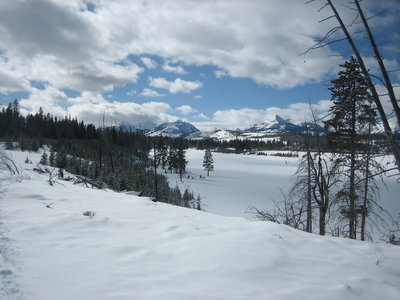 Sheepeater Ski Trail looking southwest to the Gallatin Range.