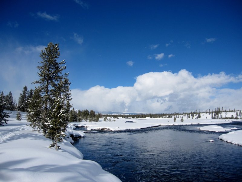 The Down River Ski Loop goes right along the Madison River for a good ways.