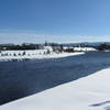 Madison River from the Up River Ski Loop.