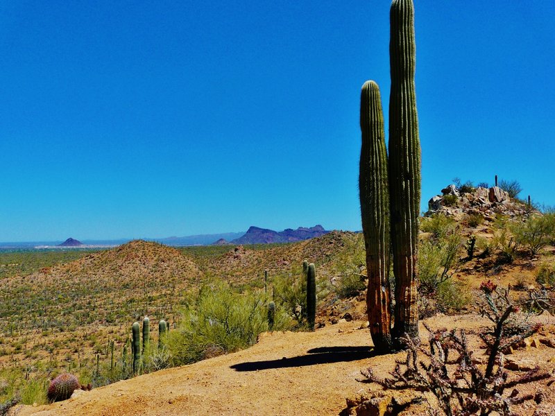 Valley View Overlook Trail