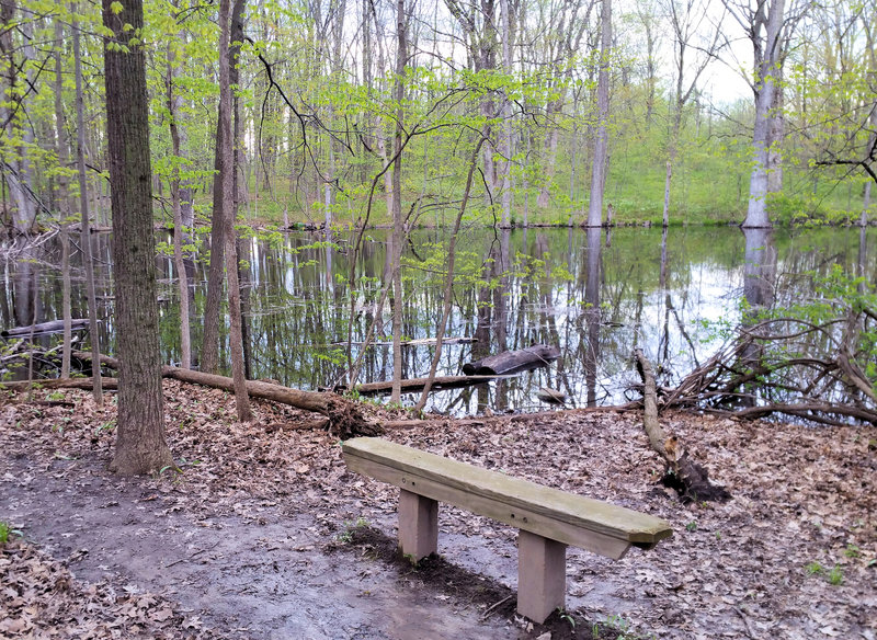 Small lake around the halfway point