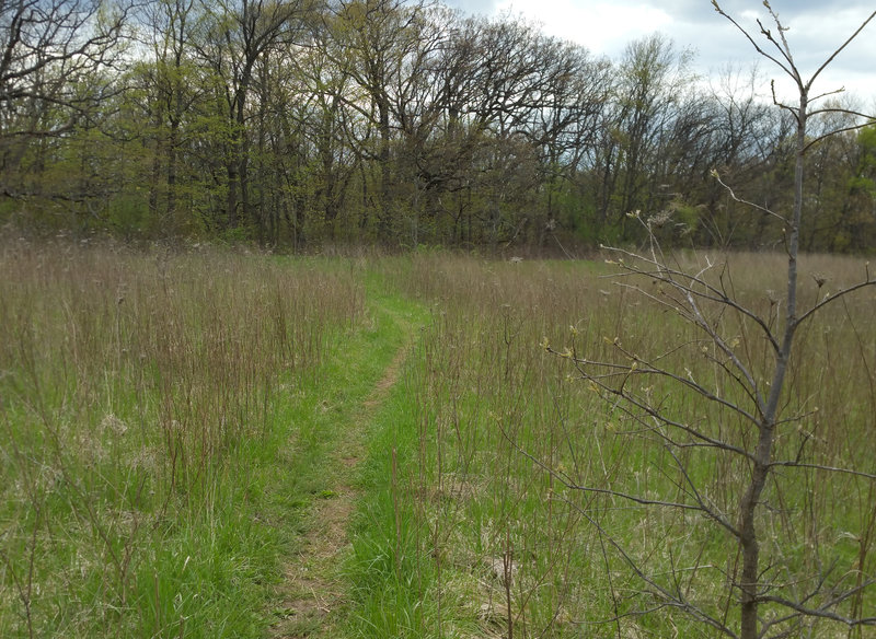 Heading out on the nature trail