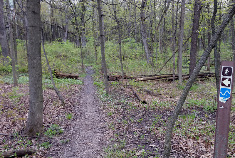 Nature Trail