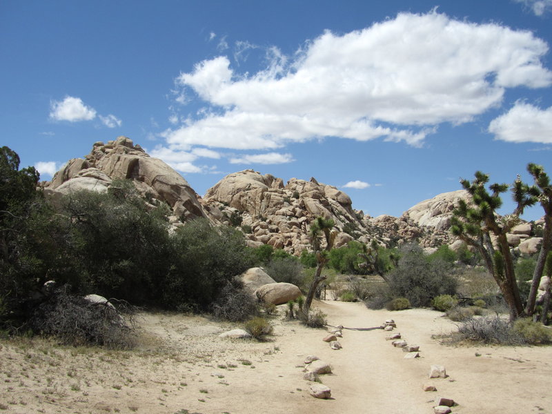 Typical trail marking - this section is just prior to reaching the tank