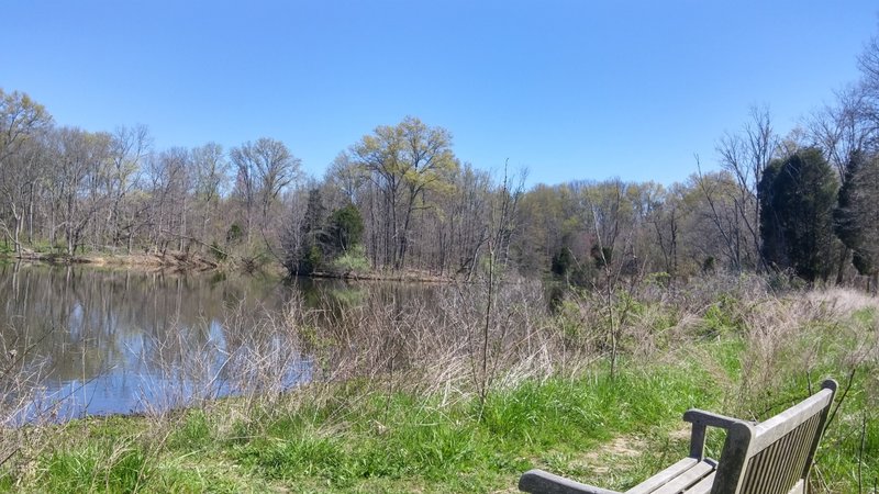Bench at the edge of the lake