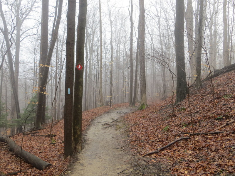 Eastern part of the trail along Valley Parkway