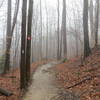 Eastern part of the trail along Valley Parkway