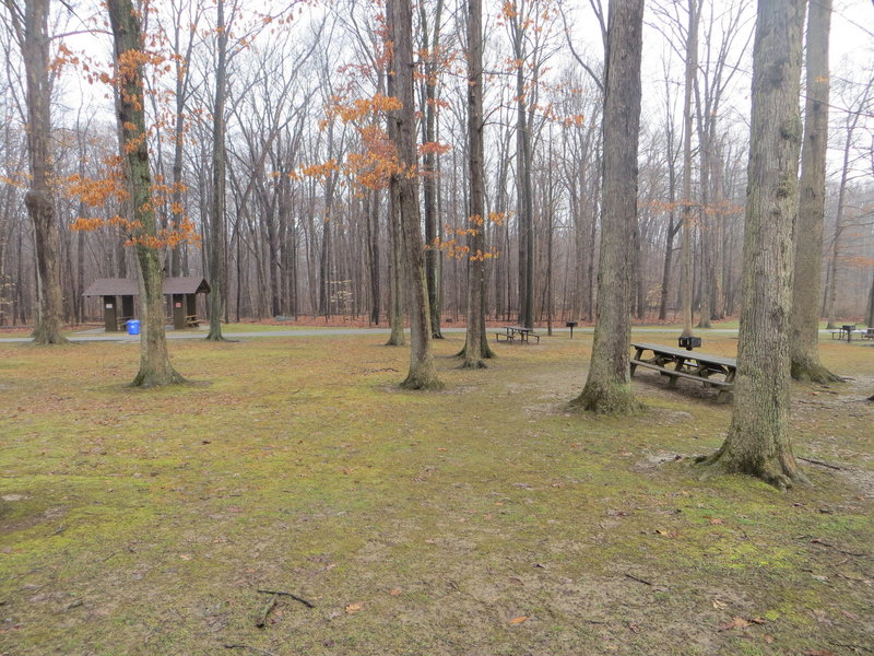 The trail crosses straight through this picnic area and continues on the other side.