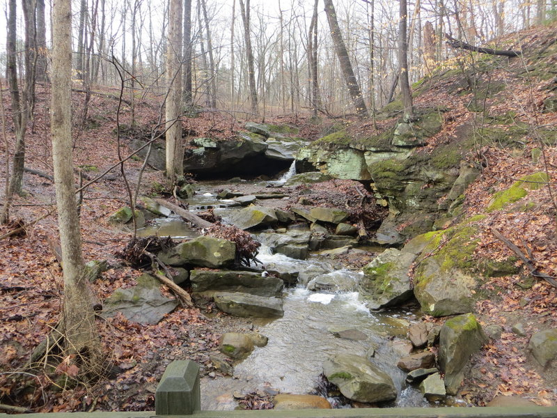 Deer Lick Cave