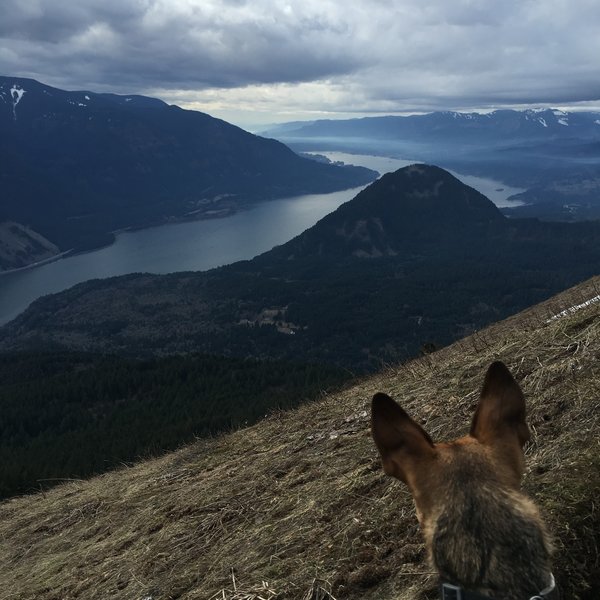 Dog Mountain, Feb 10, 2016