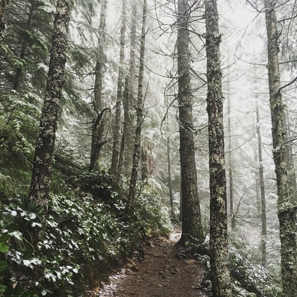 Mount Si Trail, Mar 27, 2016