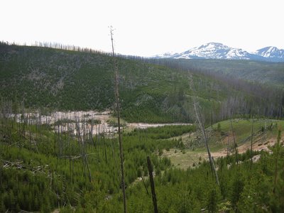 Looking down on Amphitheater Springs from the Solfatara Creek Trail.