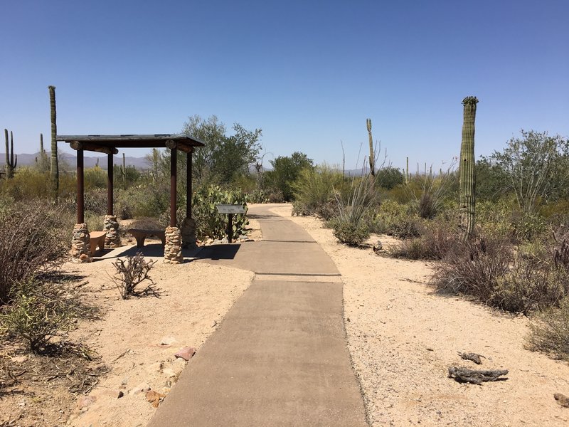 Shady shelters exist along the Discovery Trail.