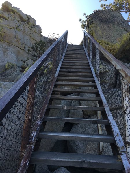 Part of the stairway up to the lookout.