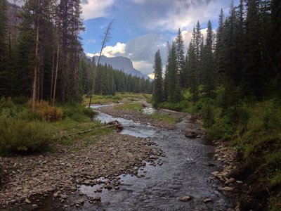 Looking up Pebble Creek at Cutoff Mountain.