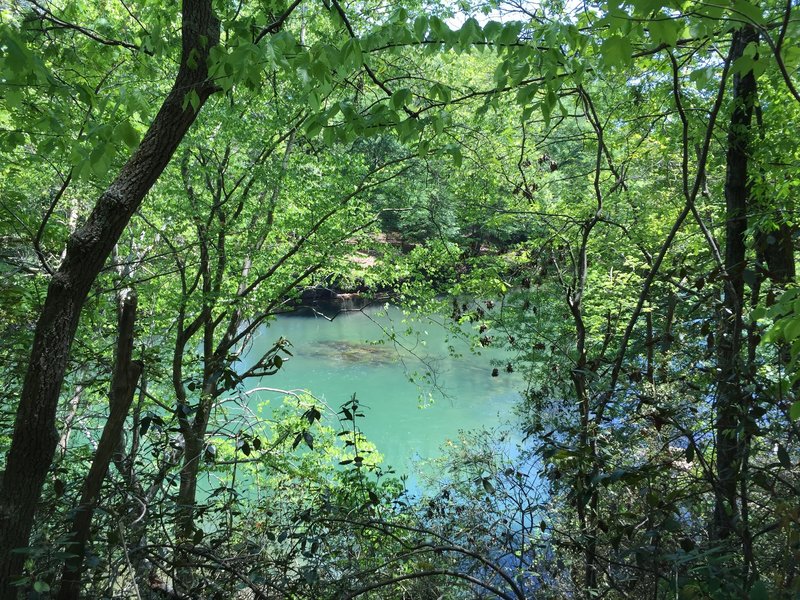 All the shades of blue and green. The Chattahoochee River through the trees.