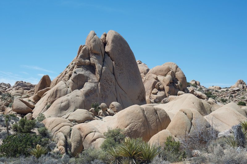 Giant rocks sit off to the side of the trail.