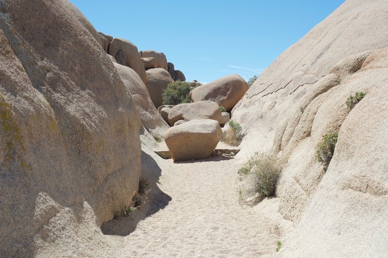 Rocks sit in the middle of the trail that you have to navigate.