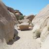 Rocks sit in the middle of the trail that you have to navigate.