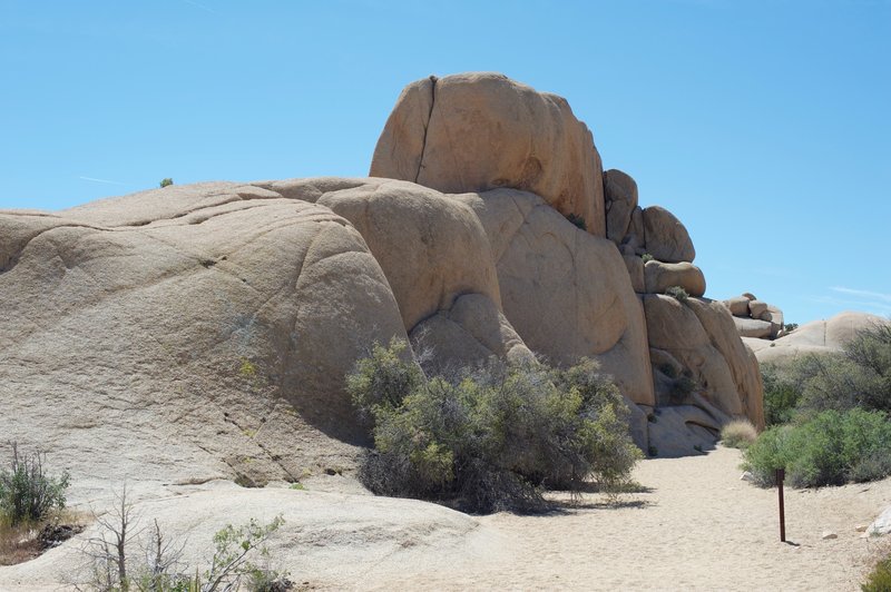 The rocks on the side of the trail provide opportunities for exploration and getting great views.