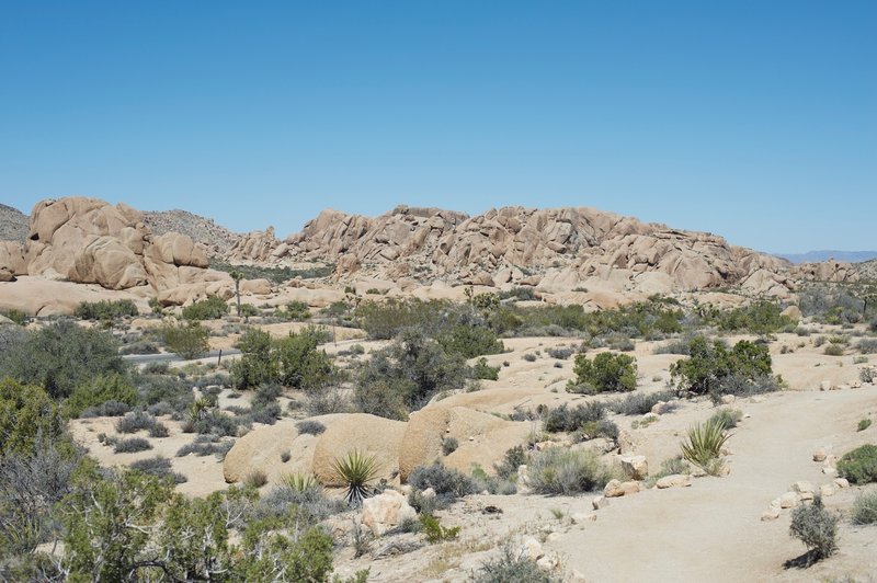 Great views from the trail.