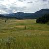 The Soldiers Trail enters Slough Creek's First Meadow from the west.