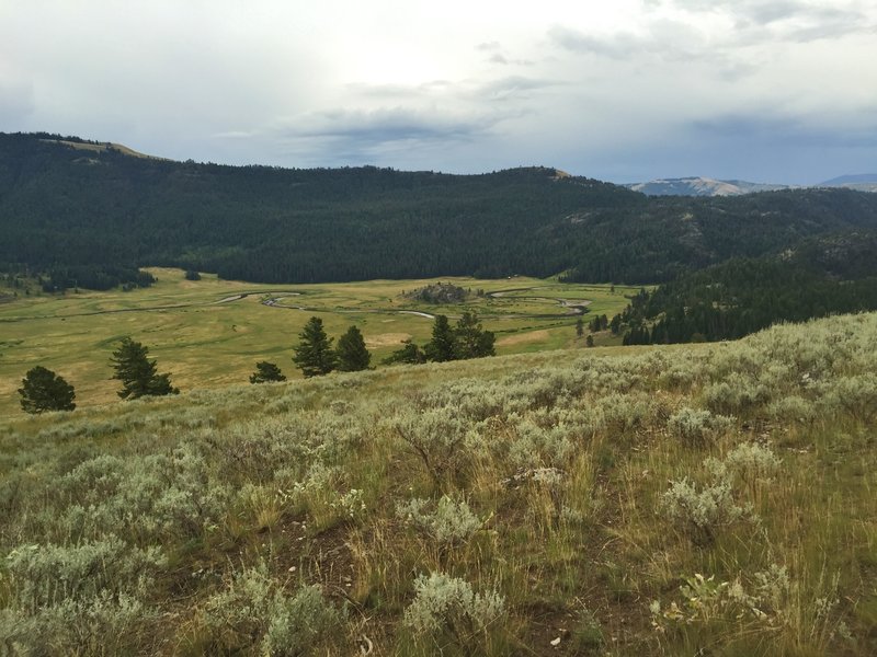 Looking south over the Slough Creek's First Meadow from a ridge just off the Buffalo Fork Trail.