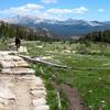 Hiking Rafferty Creek trail back to Tuolumne Meadows