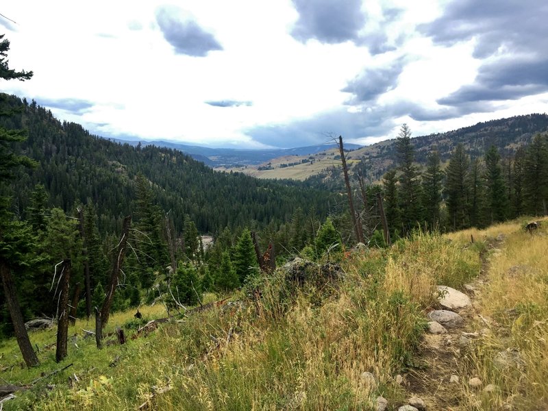 Looking southwest down the Slough Creek drainage from near the top of the Soldiers Trail.