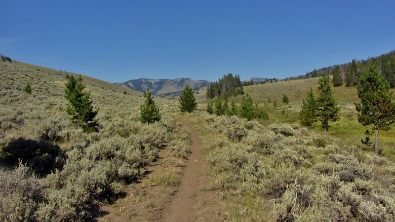 Looking up the Dailey Creek drainage from near the trailhead.