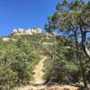 Cow Head Saddle with view up to Manning Camp. Juniper Tress and Manzanita in bloom.