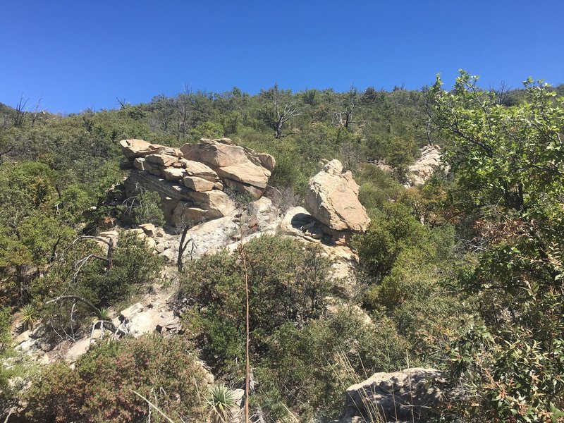 Cool rock formation on trail to Cow Head Saddle with Manzanita in bloom.