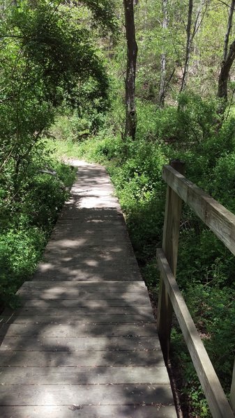 Bridge crossing on Kilgore Falls Trail.