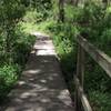 Bridge crossing on Kilgore Falls Trail.