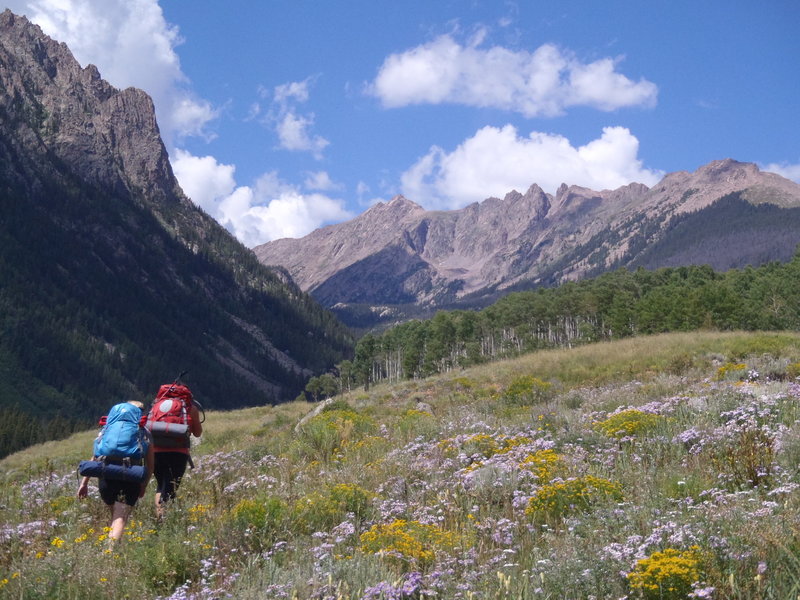 Continuing to head up the meadows of the Slate Creek Trail.