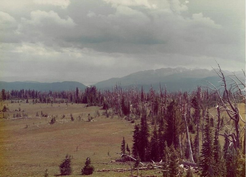 Looking southeast toward the Tetons from the Pitchstone Plateau.