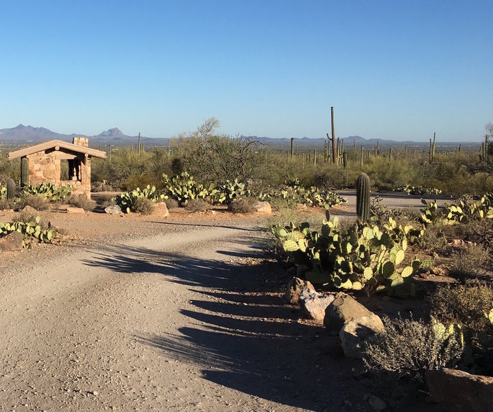 Signal Hill picnic area offers several places to have a meal after hiking in the desert.