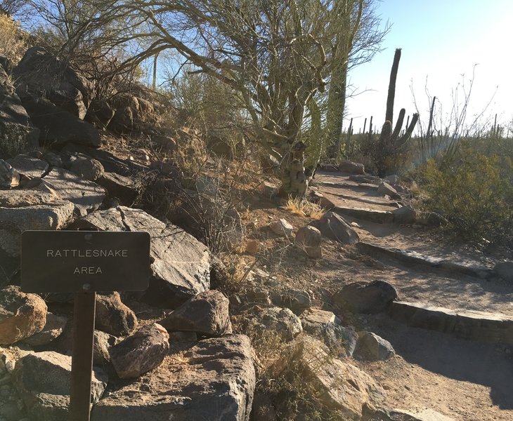 Potential for rattlesnakes exists along the trail.