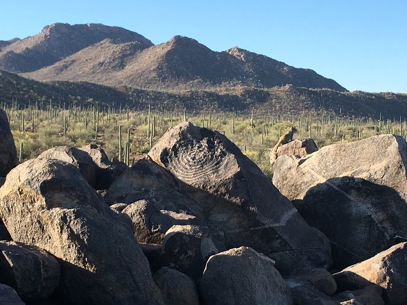 Rewarding journey to the top of Signal Hill reveals many petroglyphs. Even the rock squirrel is taking in the view.