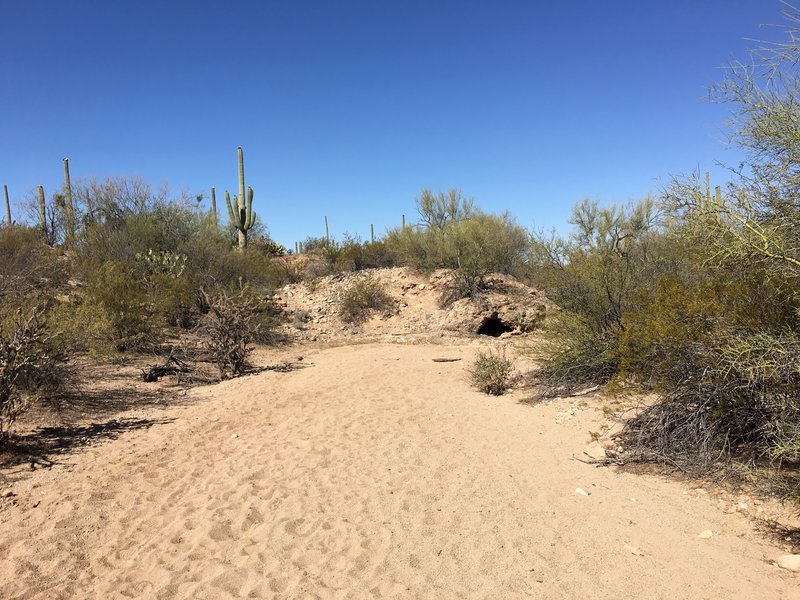 Portion of the Manville Trail is in a dry wash.