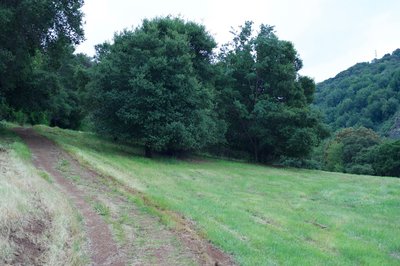 The trail gently climbs along the hillside.