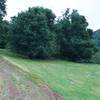 The trail gently climbs along the hillside.