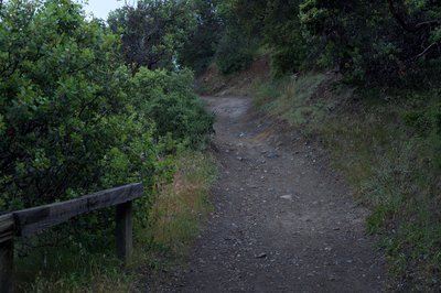 Climbing up a switchback, the trail becomes rockier, making trail running more difficult.